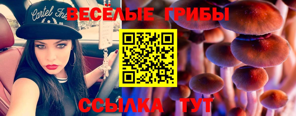 Галлюциногенные грибы мицелий  Псилоцибиновые грибы MAGIC MUSHROOMS  Вход с VPN  Кострома 